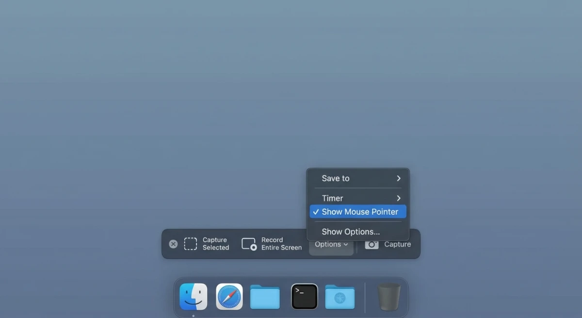 macOS Screenshot app Options menu with Show Mouse Pointer setting