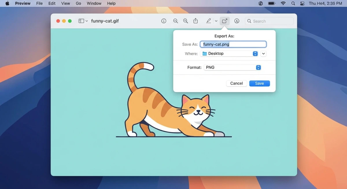 Mac Preview app Export dialog showing GIF to PNG conversion options