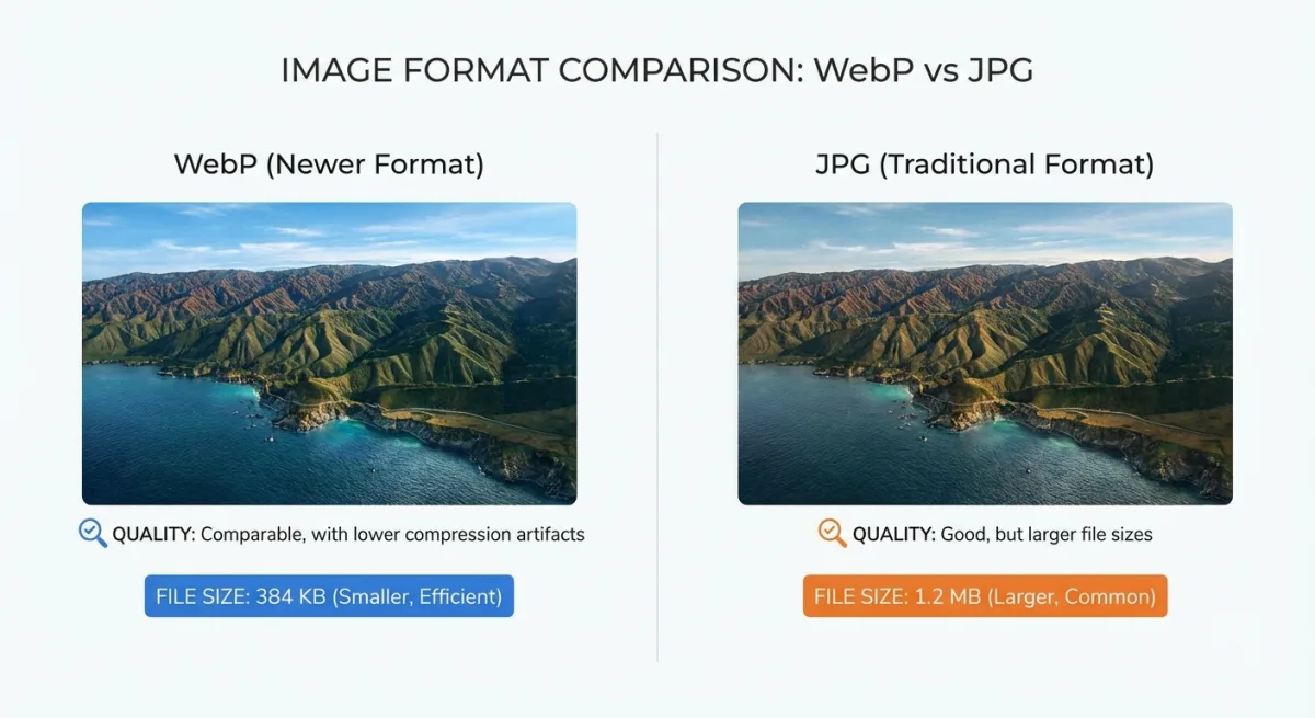 WebP vs JPG comparison showing quality and file size