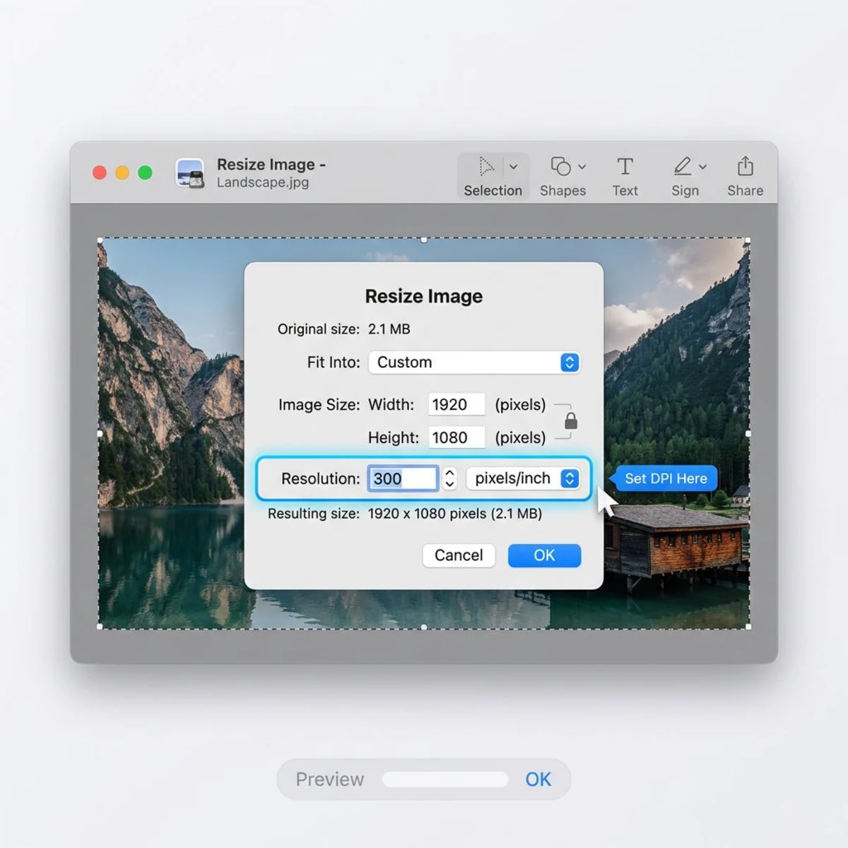 Change image DPI in Mac Preview's resize dialog