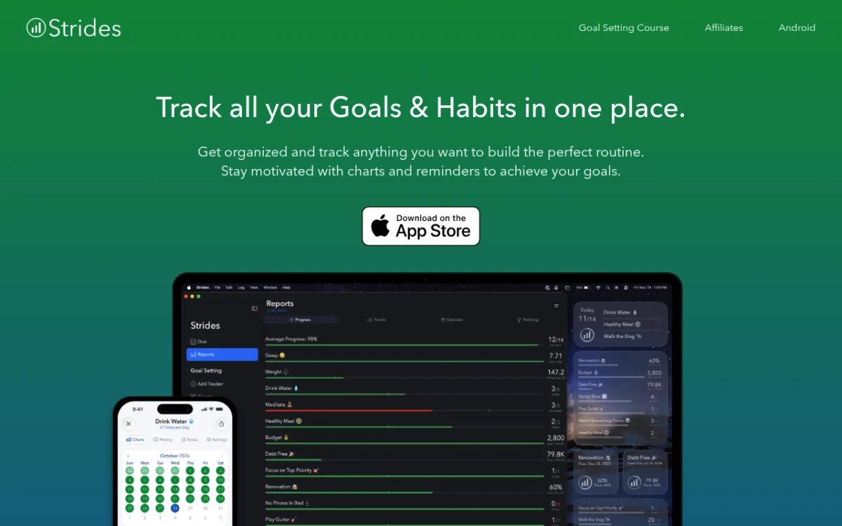 Strides app website homepage showing the goal-oriented tracker dashboard with multiple tracker types